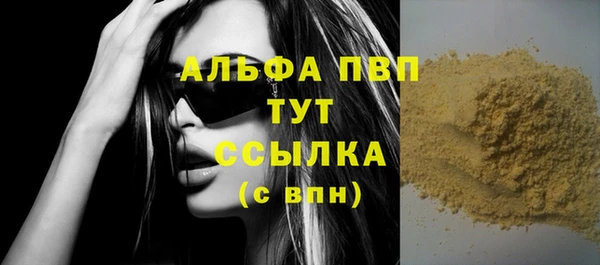 индика Верея