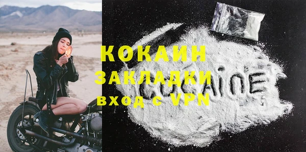 индика Верея