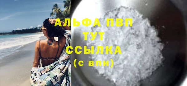 индика Верея
