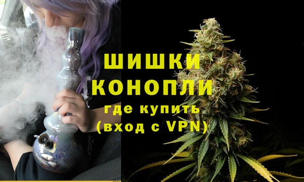 ешки Бронницы