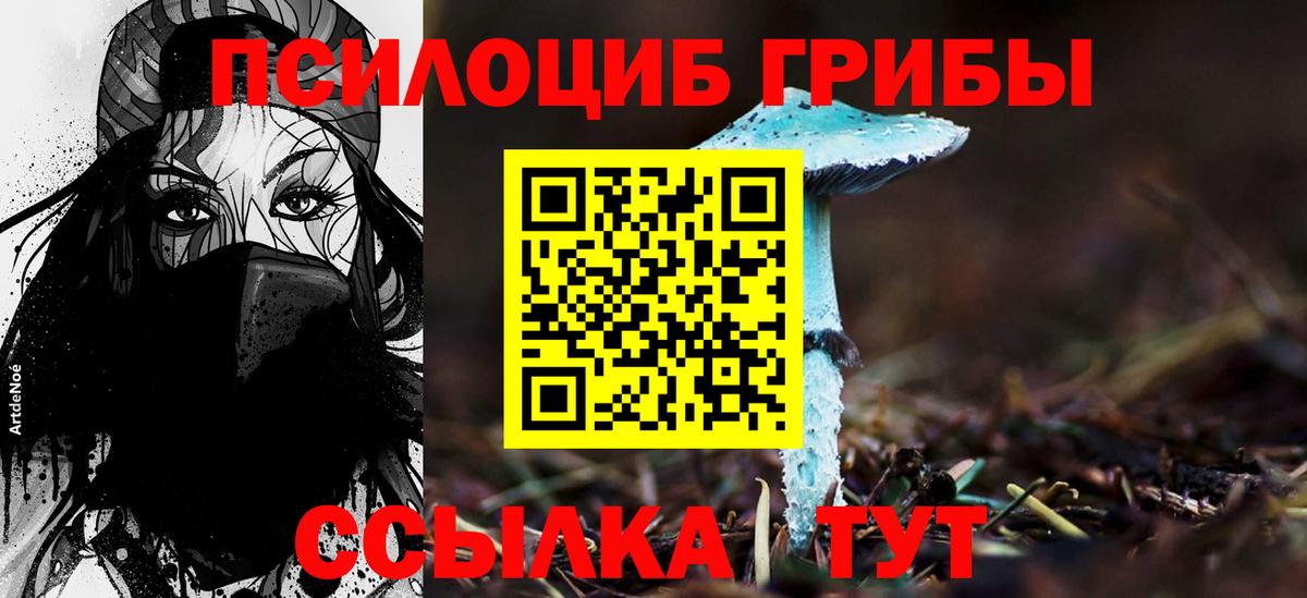 Псилоцибиновые грибы Psilocybe  Галлюциногенные грибы мицелий  Вход с VPN  Северск 